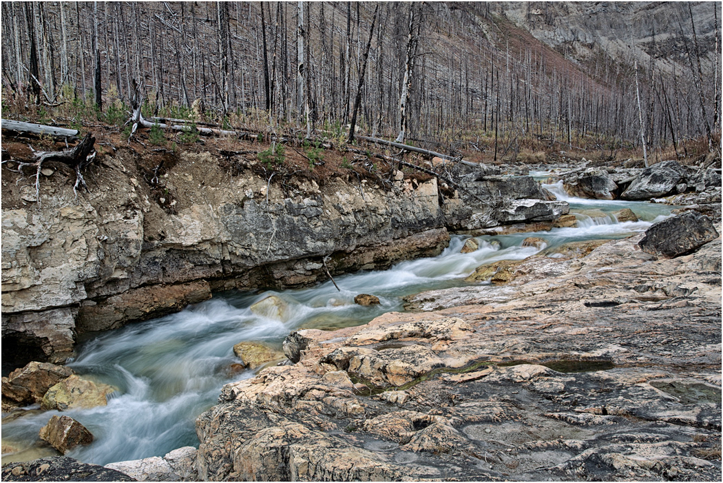 Tokumm Creek in Marble Canyon, Kootenay NP. BC