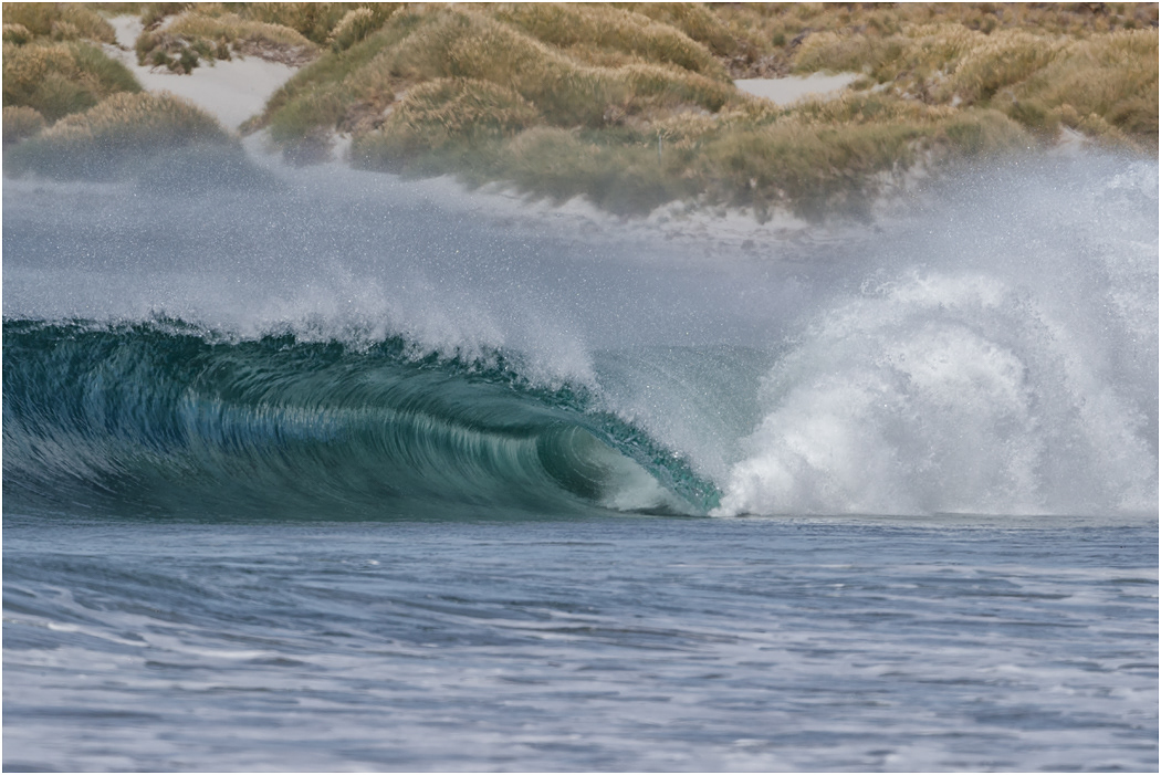 South Atlantic Waves, The Falklands