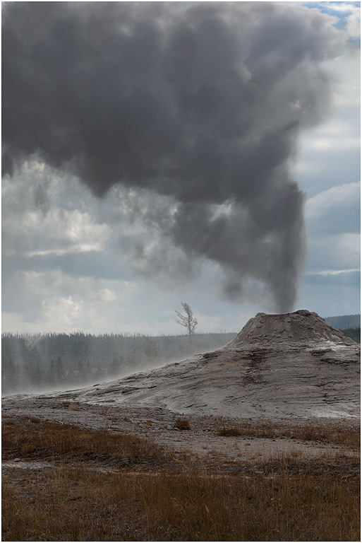 Lion Geyser in rain, Upper Geyser Basin, Yellowstone NP
