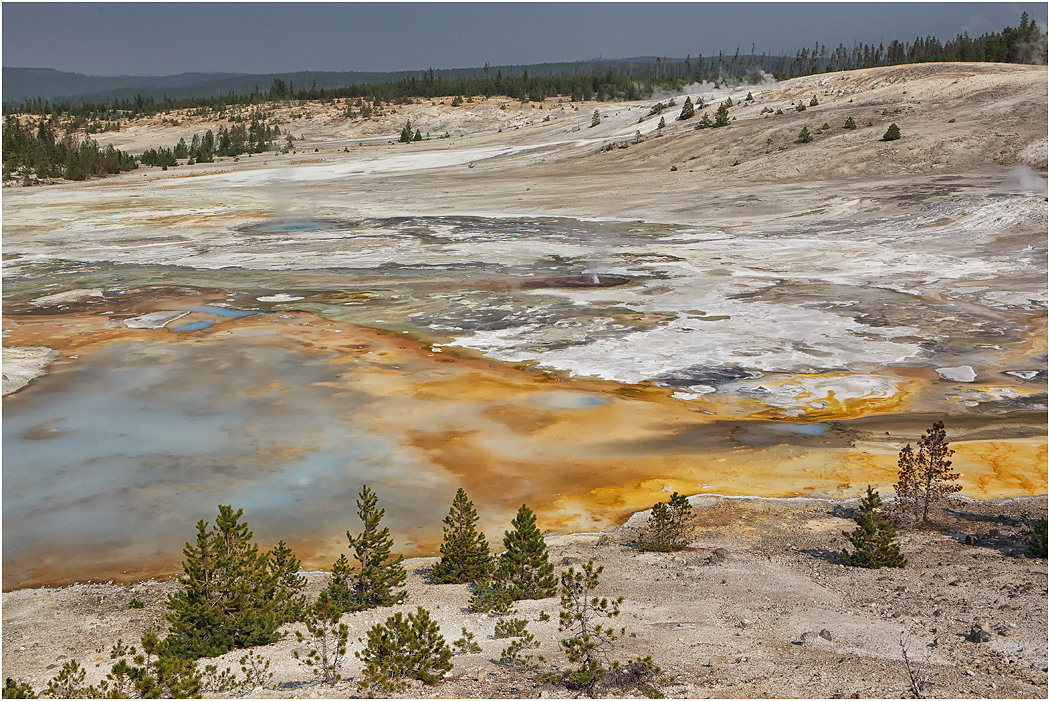 Porcelain Basin, Norris, Yellowstone NP