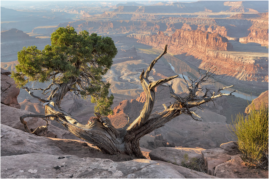 Meander Canyon, Dead Horse Point, near Moab, Utah
