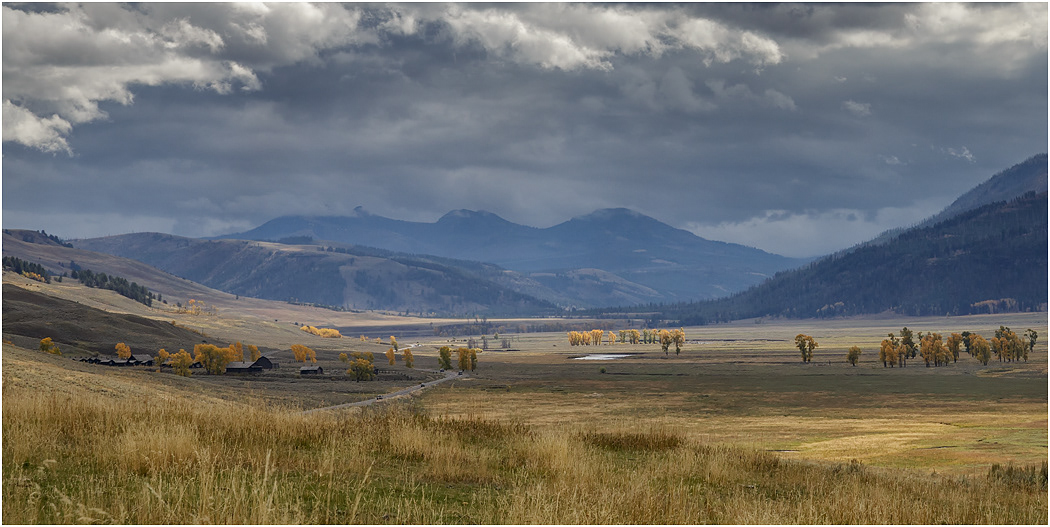 Lamar Valley, Yellowstone National Park