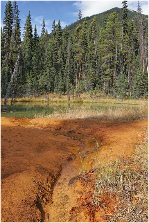Iron rich mineral deposits, Ochre Beds, Kootenay NP, BC