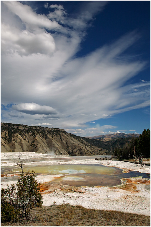 Upper Terrace, Mammoth, Yellowstone NP
