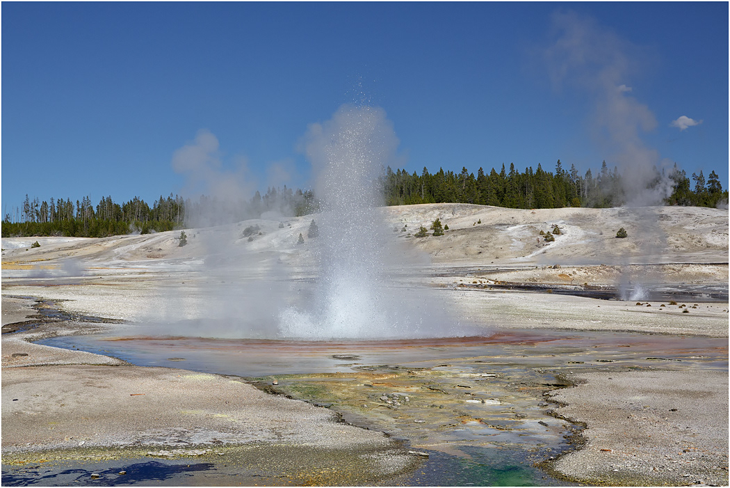 Whirligig Geyser, Norris Basin, Yellowstone NP