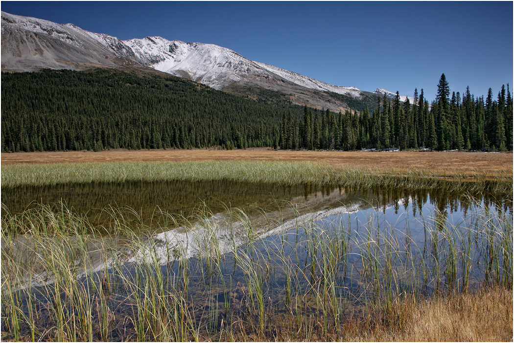 Glacial Meltwater Pool, Icefields Parkway, Banff NP