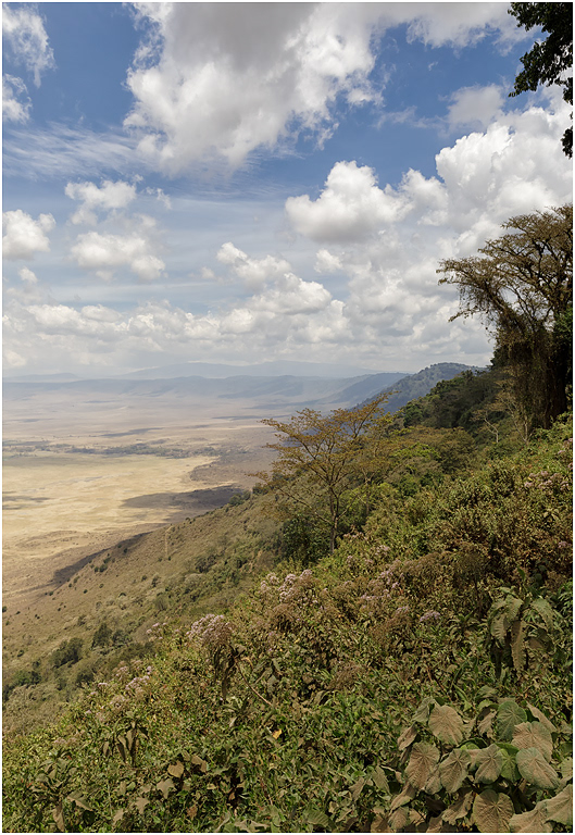 East Crater Rim - Ngorongoro Crater, Tanzania