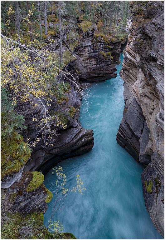Athabasca River, Jasper NP