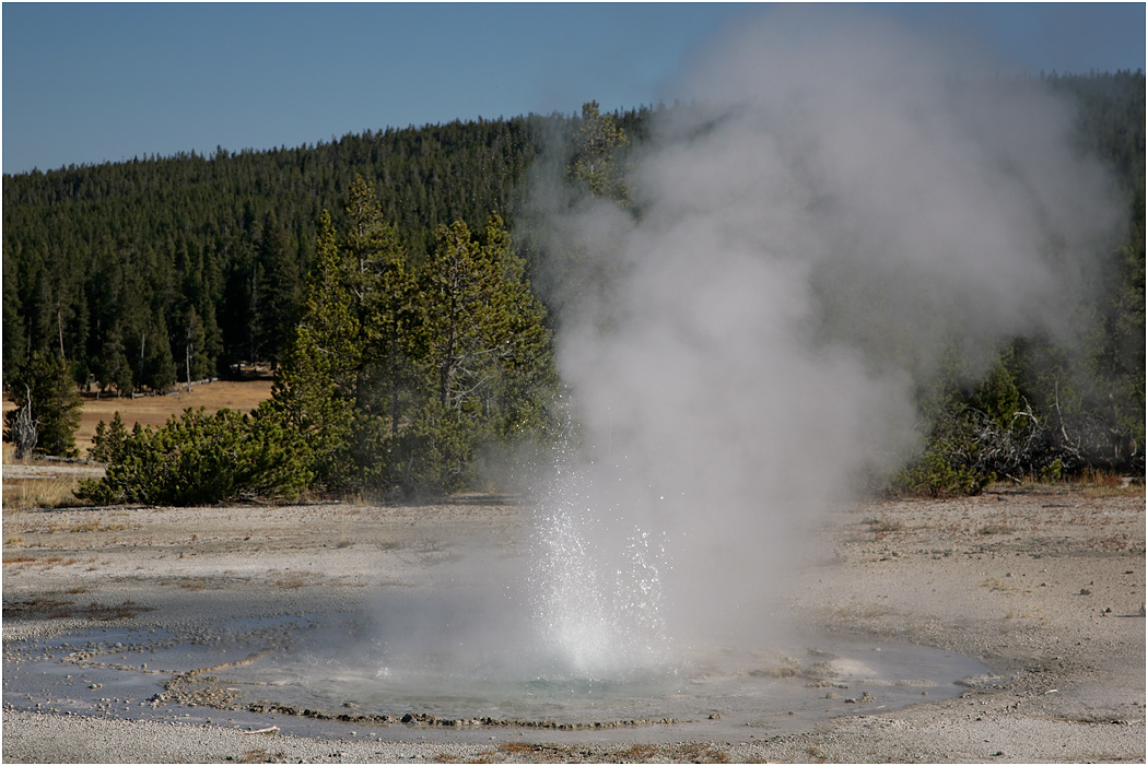 Twig Geyser,  Lower Geyser Basin, Yellowstone