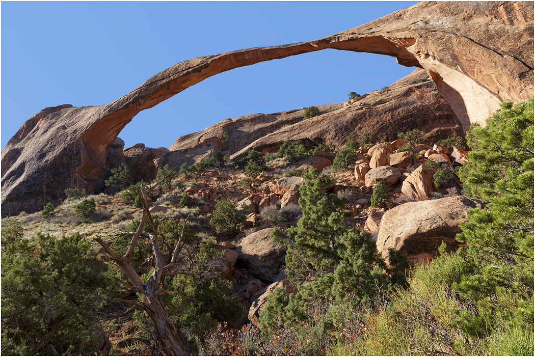 Landscape Arch, Arches NP, Utah