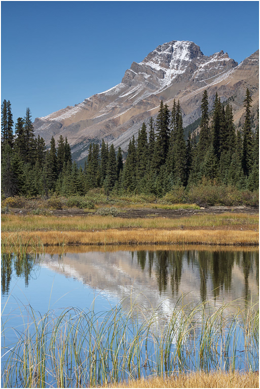 Reflections in Meltwater Pool, Icefields Parkway, Banff NP