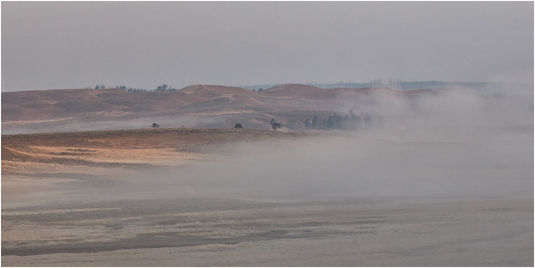 Hayden Valley, Yellowstone NP