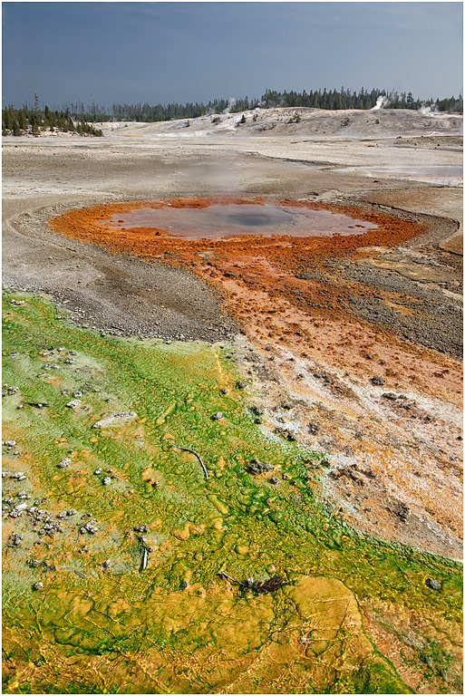 Whirligig Geyser, Norris Basin, Yellowstone NP