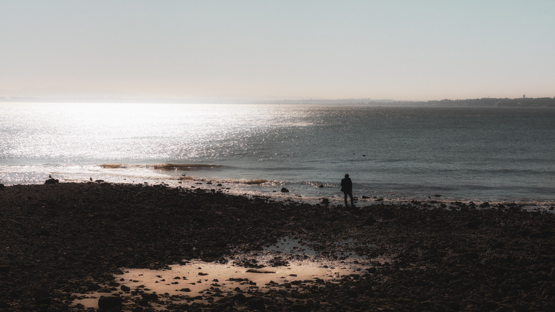 Highlight sea