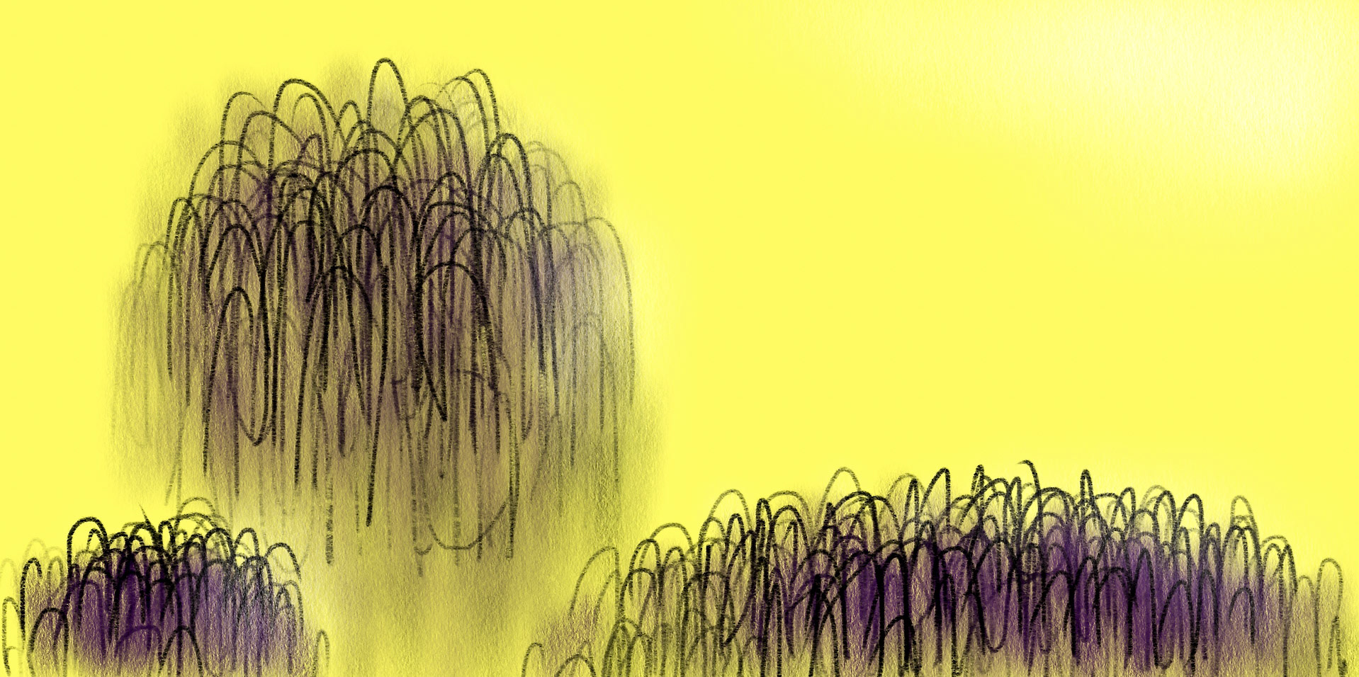 iPad drawing