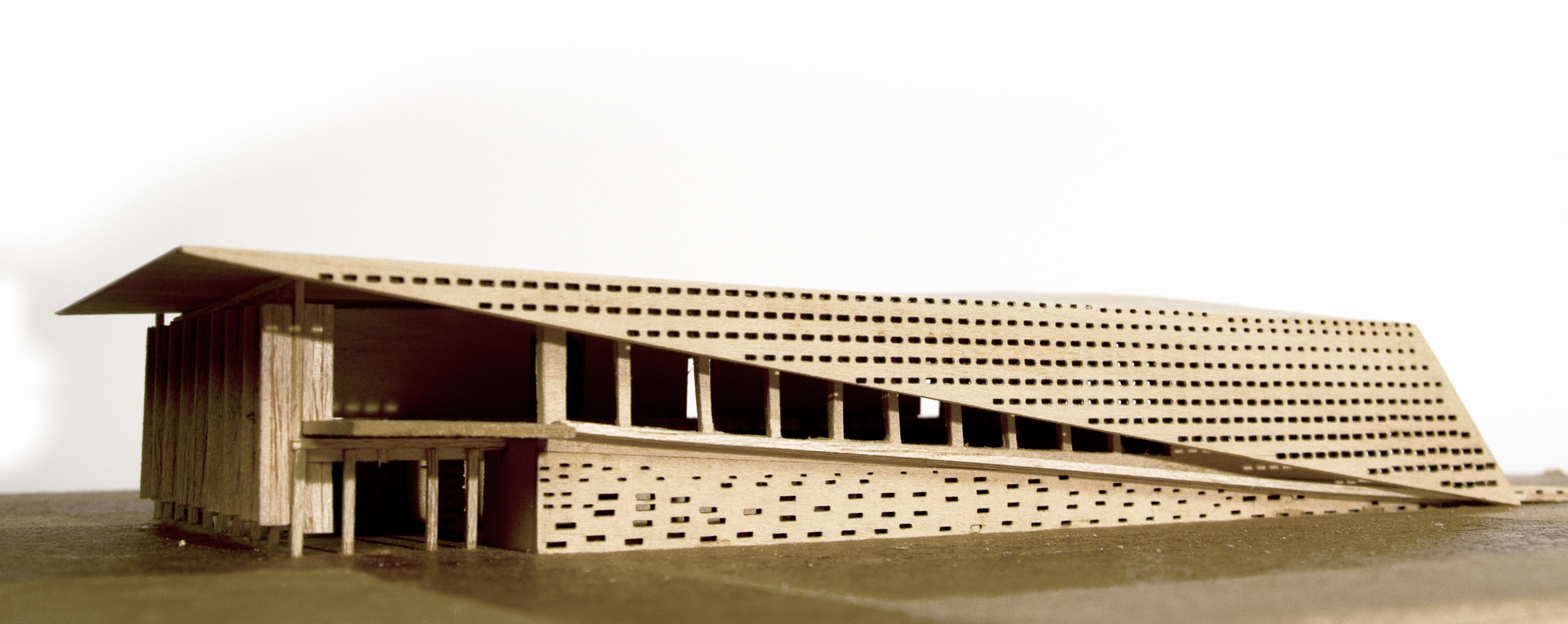 Wood Model