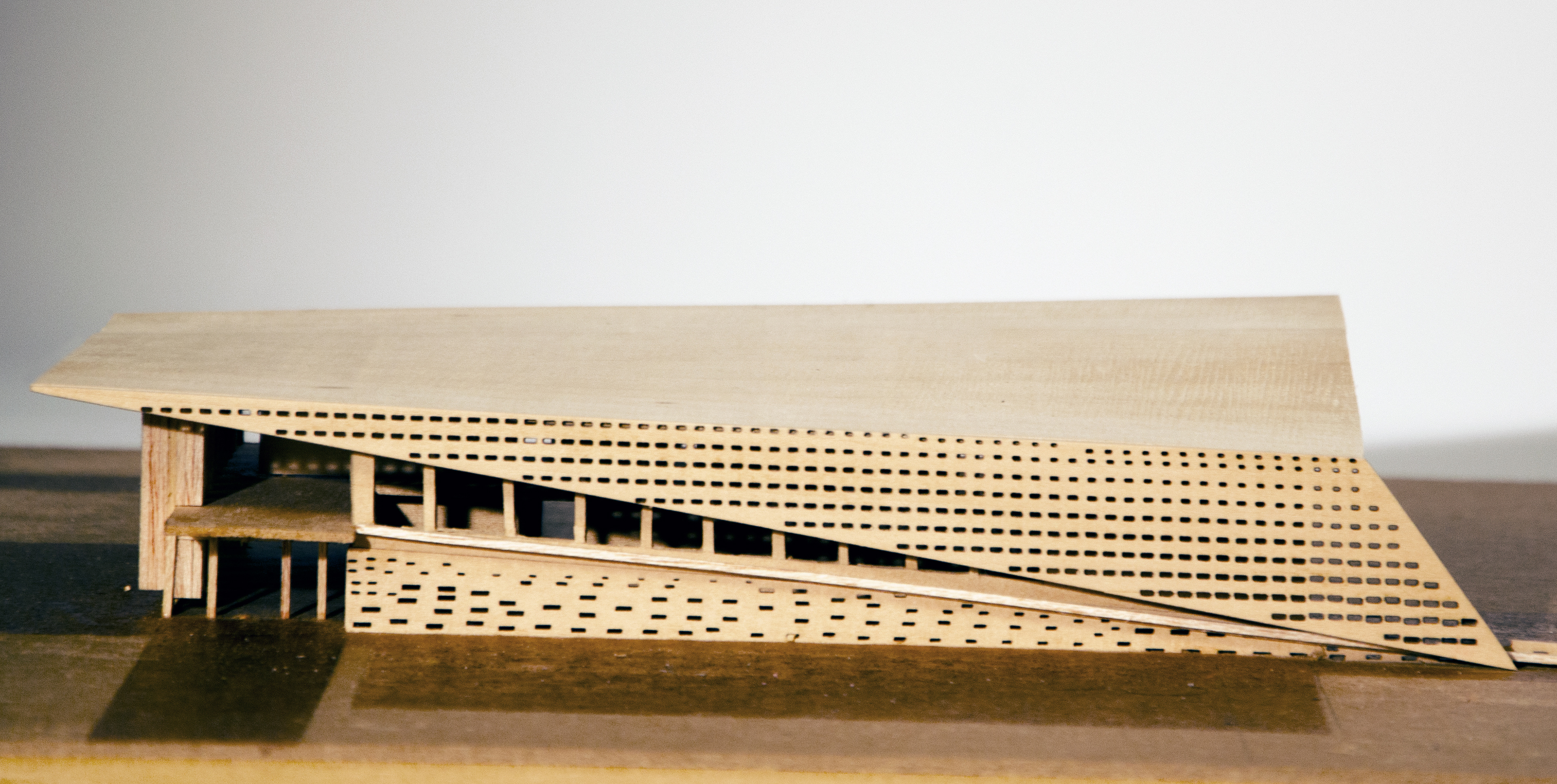 Wood Model