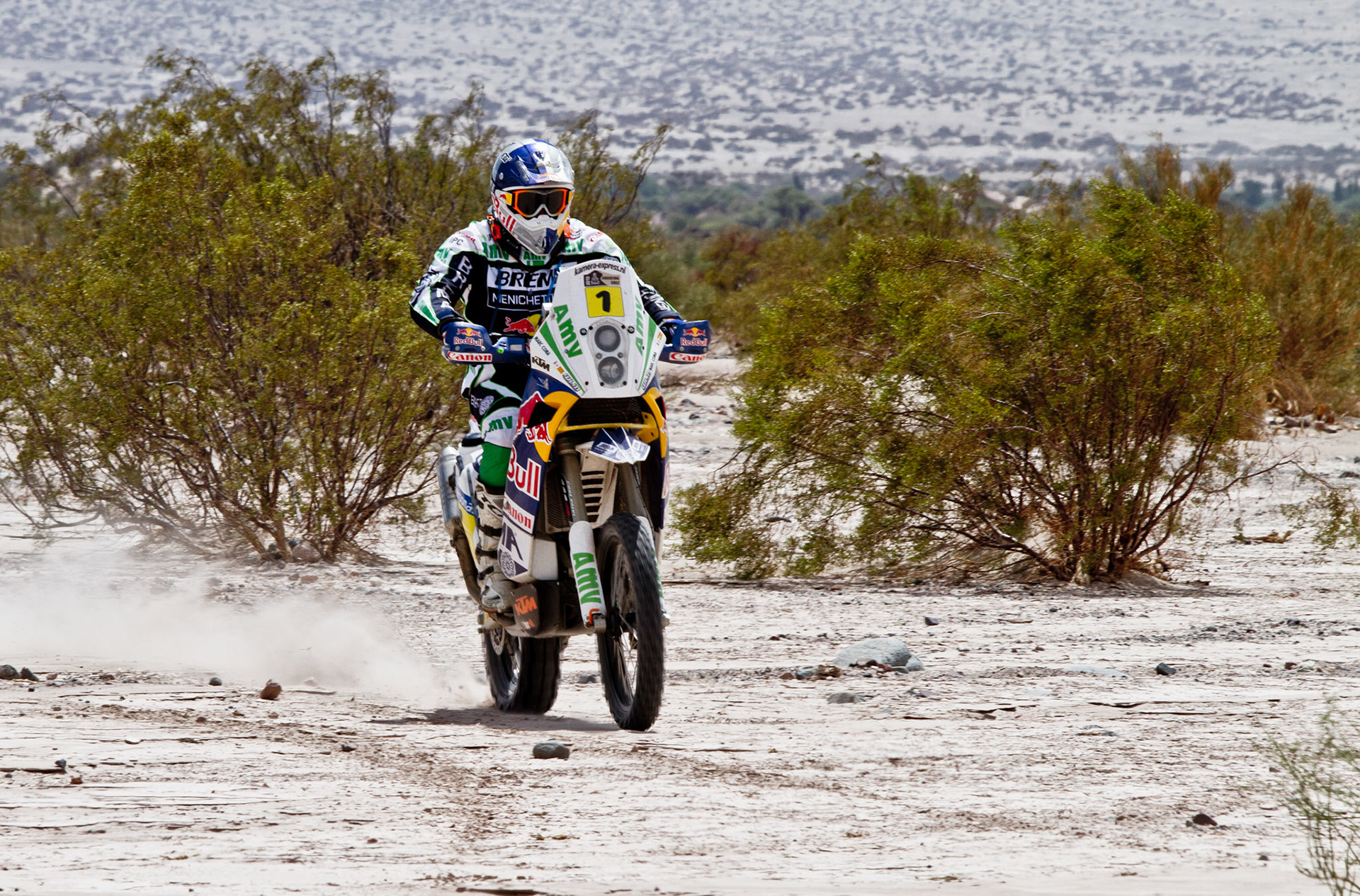 Dakar 2010