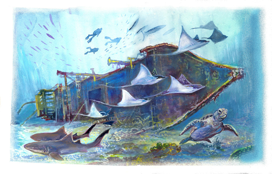 King Mitch shipwreck, Grenada by Dominique Serafini