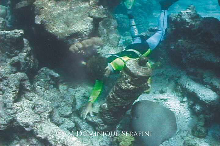 Shipwrecks of Las Aves