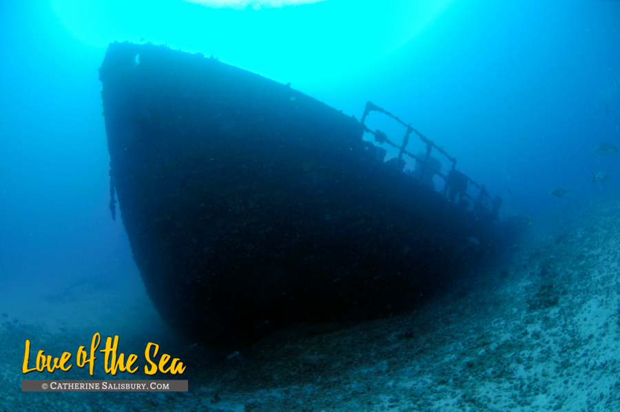 The Wit Shoal (USS LST-467) shipwreck, St Thomas USVI by Cathy Salisbury