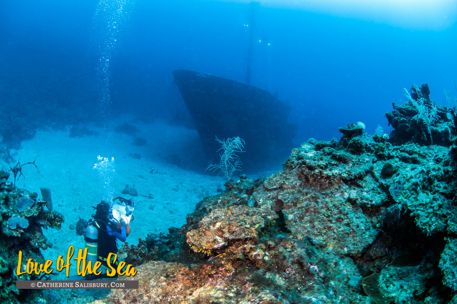 Dominique Serafini sketching the El Aguila shipwreck, Roatan, Honduras by Cathy Salisbury