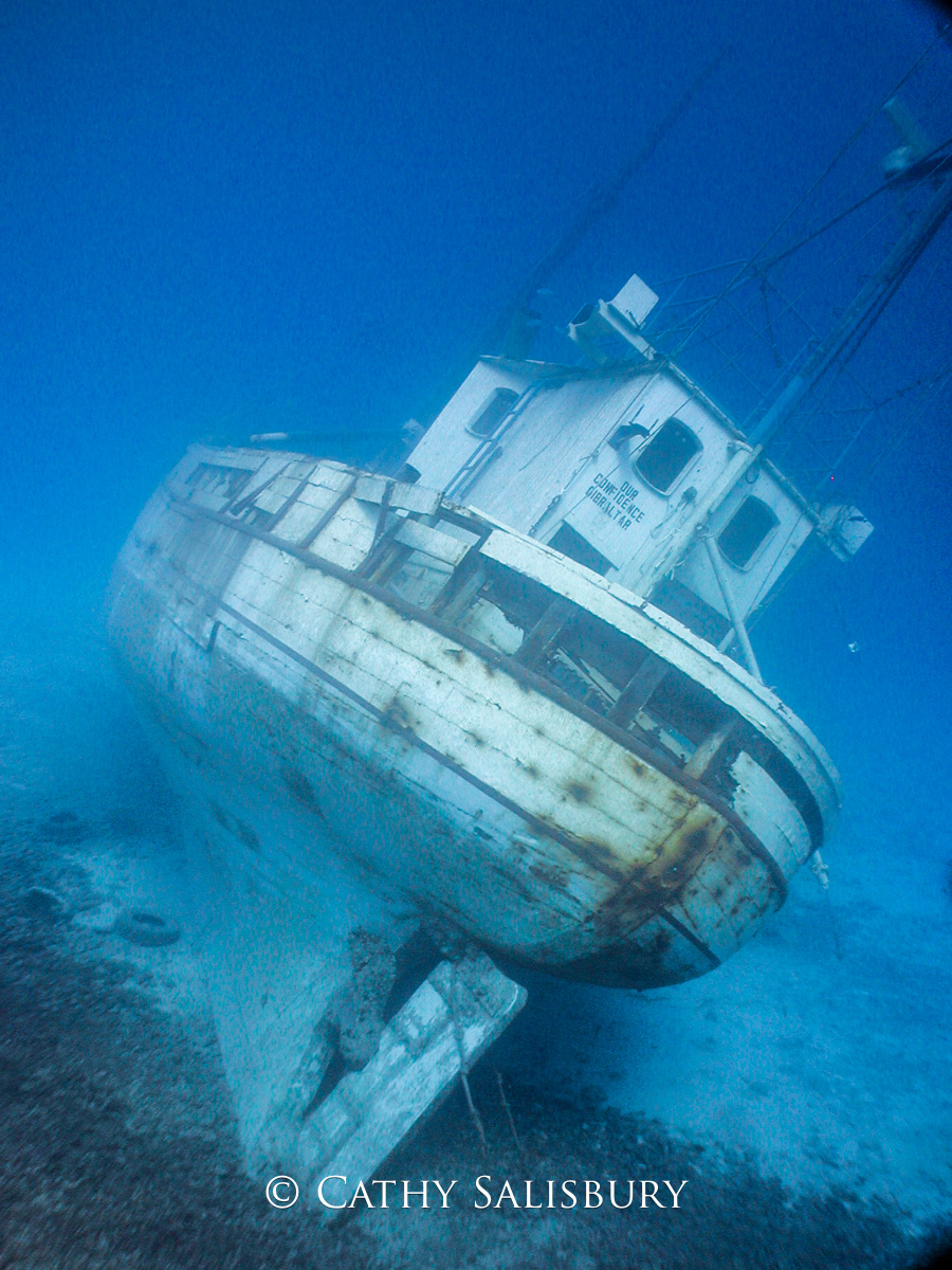 Our Confidence, Bonaire by Cathy Salisbury