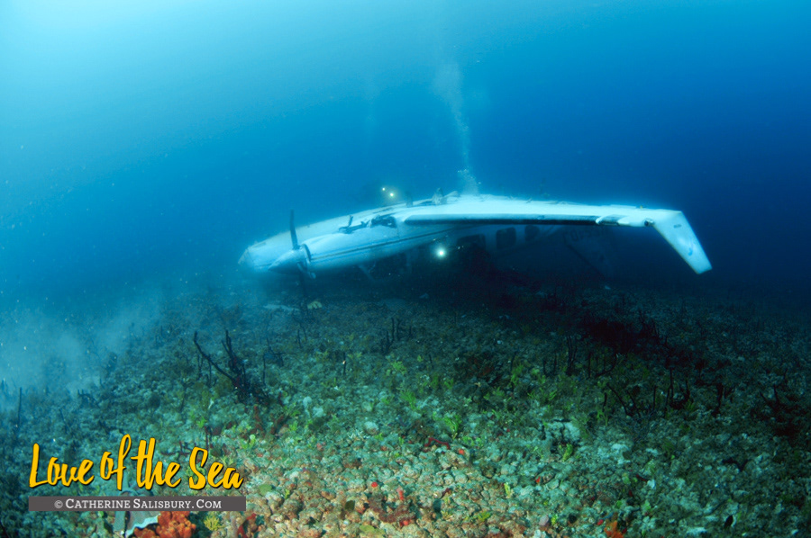 Prisoner plane, St Thomas, USVI by Cathy Salisbury