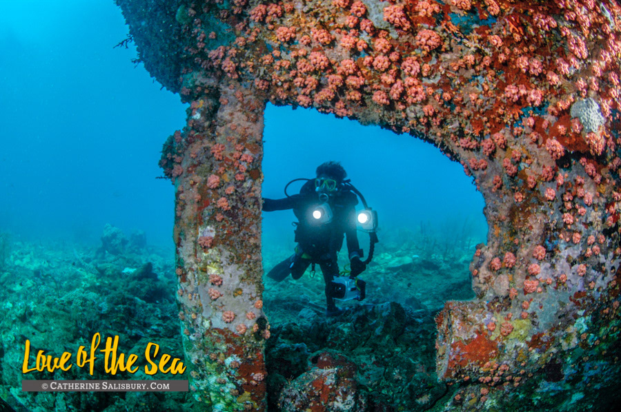 The Veronica L shipwreck, Grenada by Cathy Salisbury