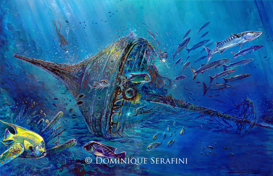 The Windjammer, Bonaire by Dominique Serafini