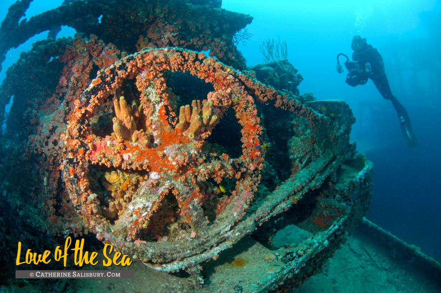 The Wit Shoal (USS LST-467) shipwreck, St Thomas USVI by Cathy Salisbury