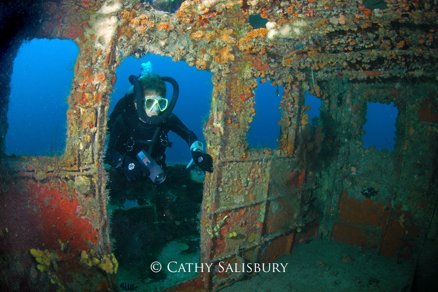 Superior Producer, Curacao by Cathy Salisbury