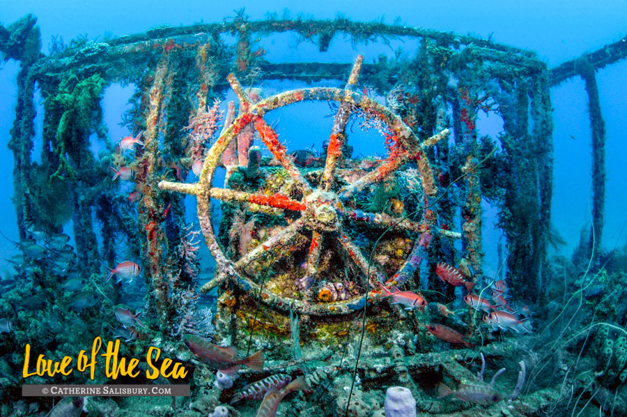 The wreck of The Nahoon, Martinique by Cathy Salisbury
