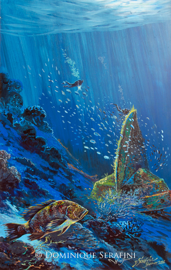 The Windjammer, Bonaire by Dominique Serafini