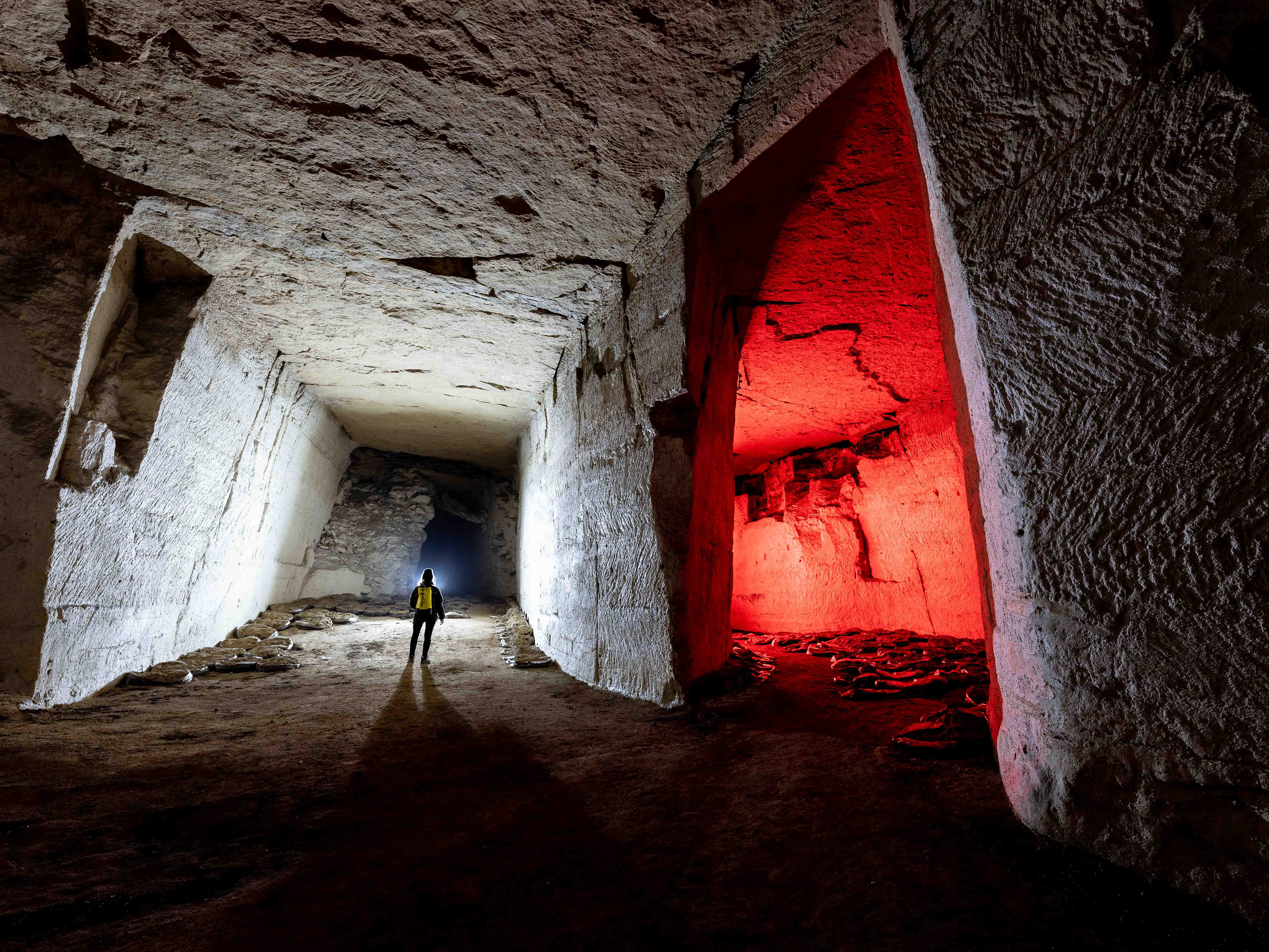 La champignonnière rouge