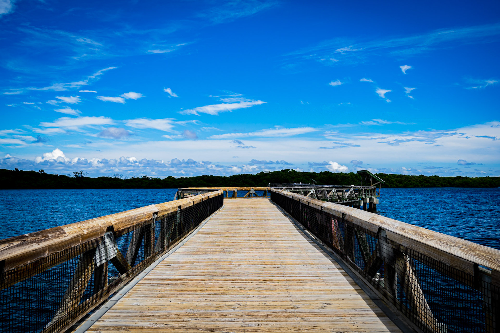 John D. McArthur State Park Boardwalk