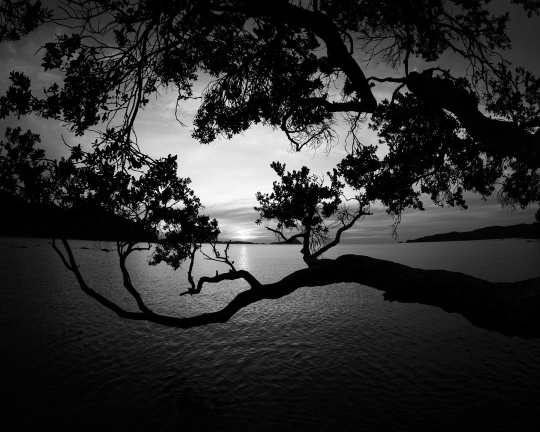 LONG BAY SUNSET BW