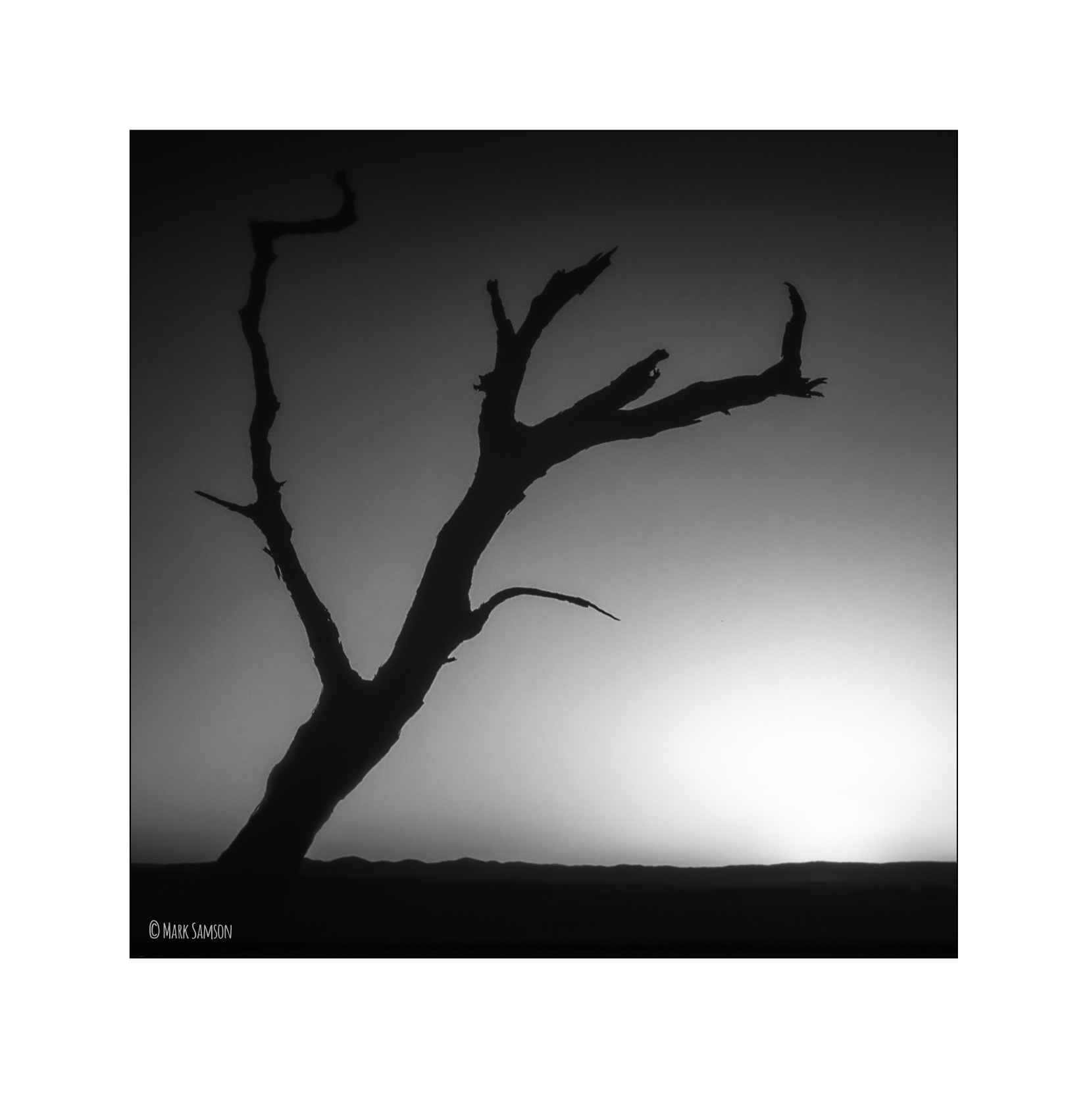 DEADVLEI NAMIBIA BW