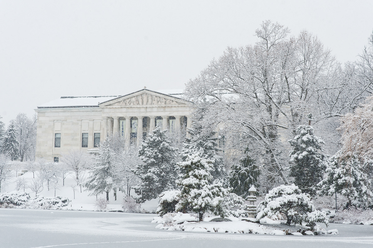Photography of Buffalo, NY buffalo winter