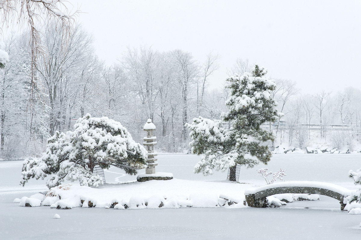 average winter temperature in buffalo new york