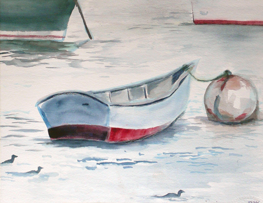 Cormorants and Boats