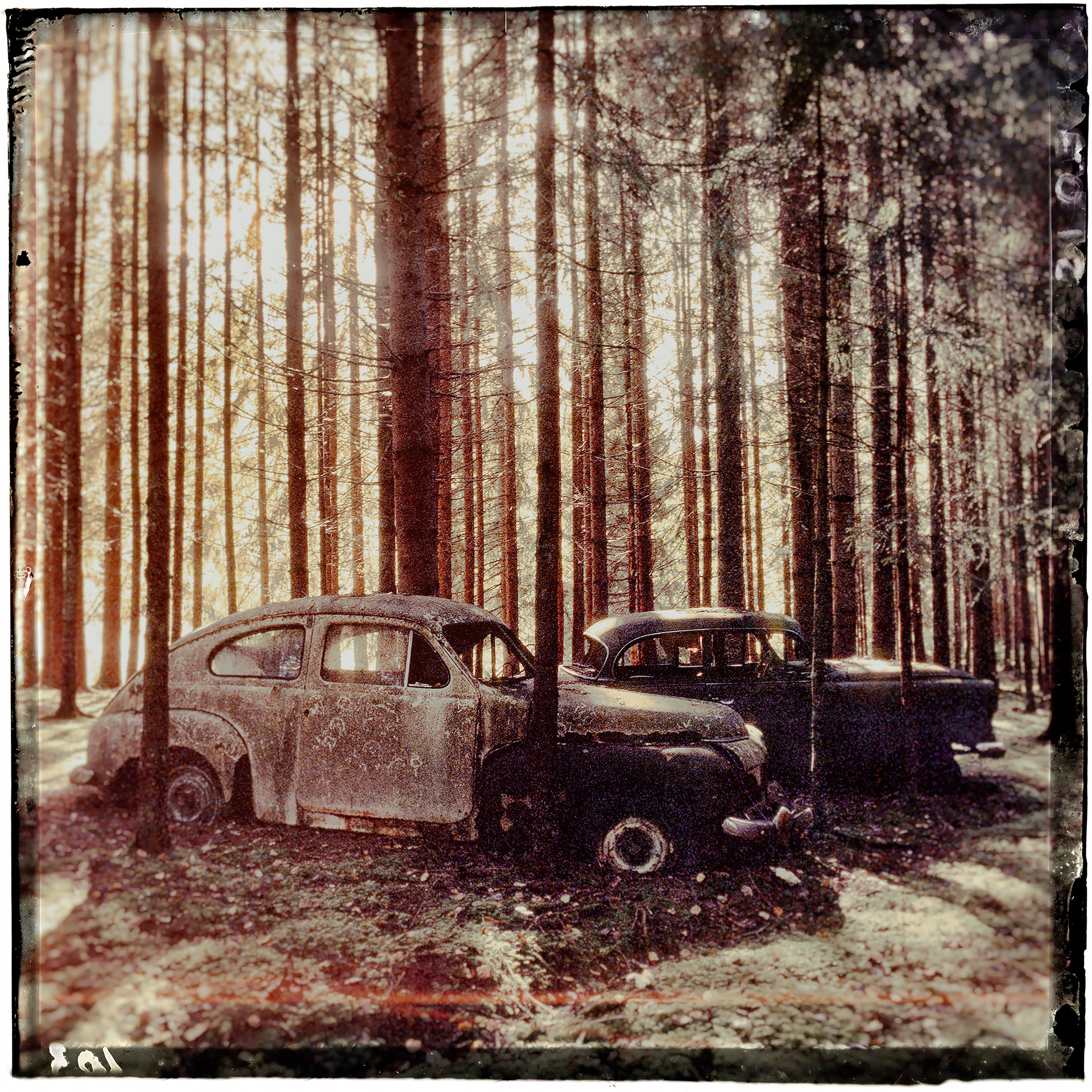 Old rusty decaying vintage Opel and Volvo PV 544 abandoned in the woods with sun streaming through the trees, with black border