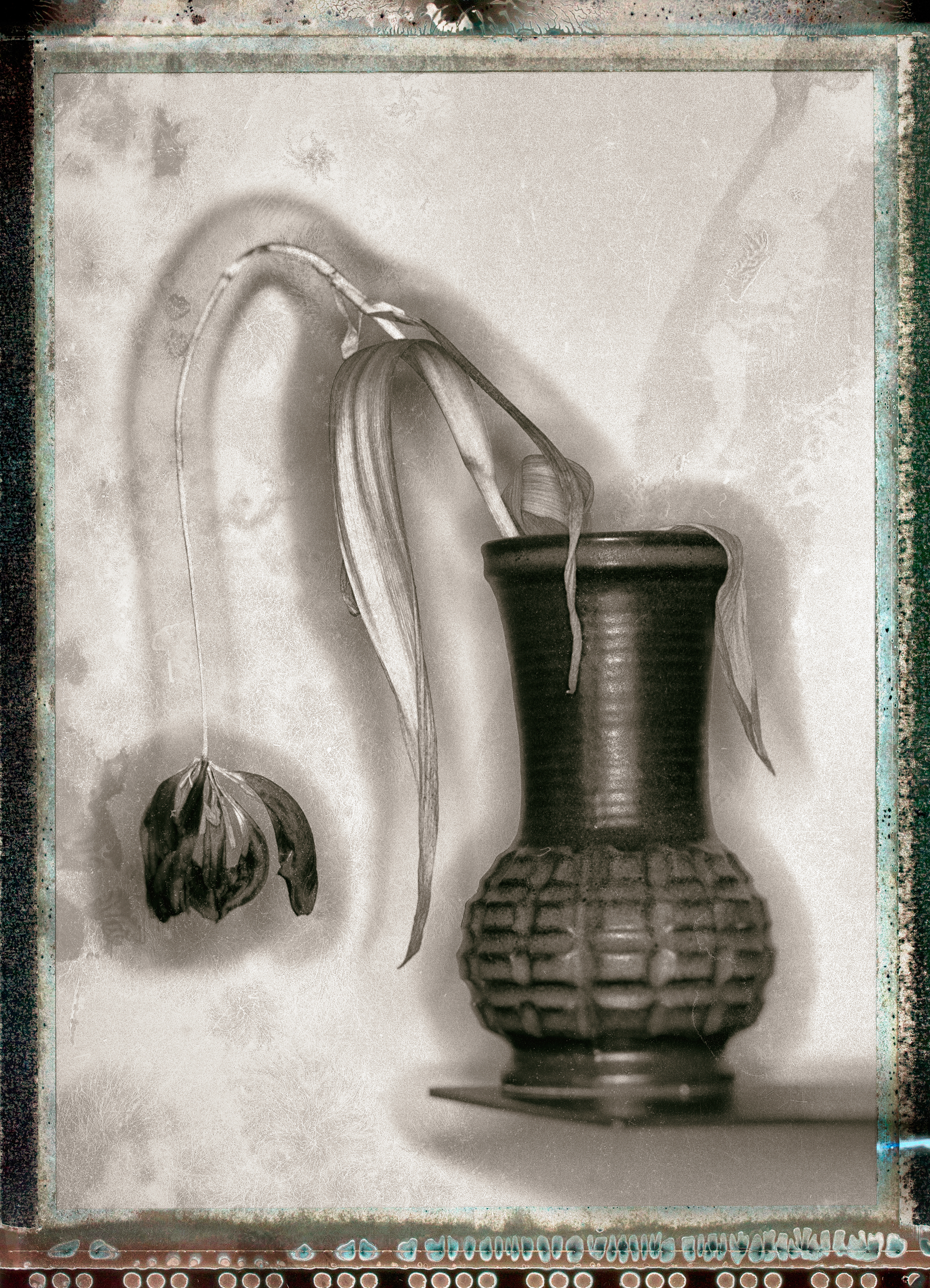 Vase and withered tulip against a light background. Photographed with a wet-plate filter with smudges and a large format polaroid typr bordere 