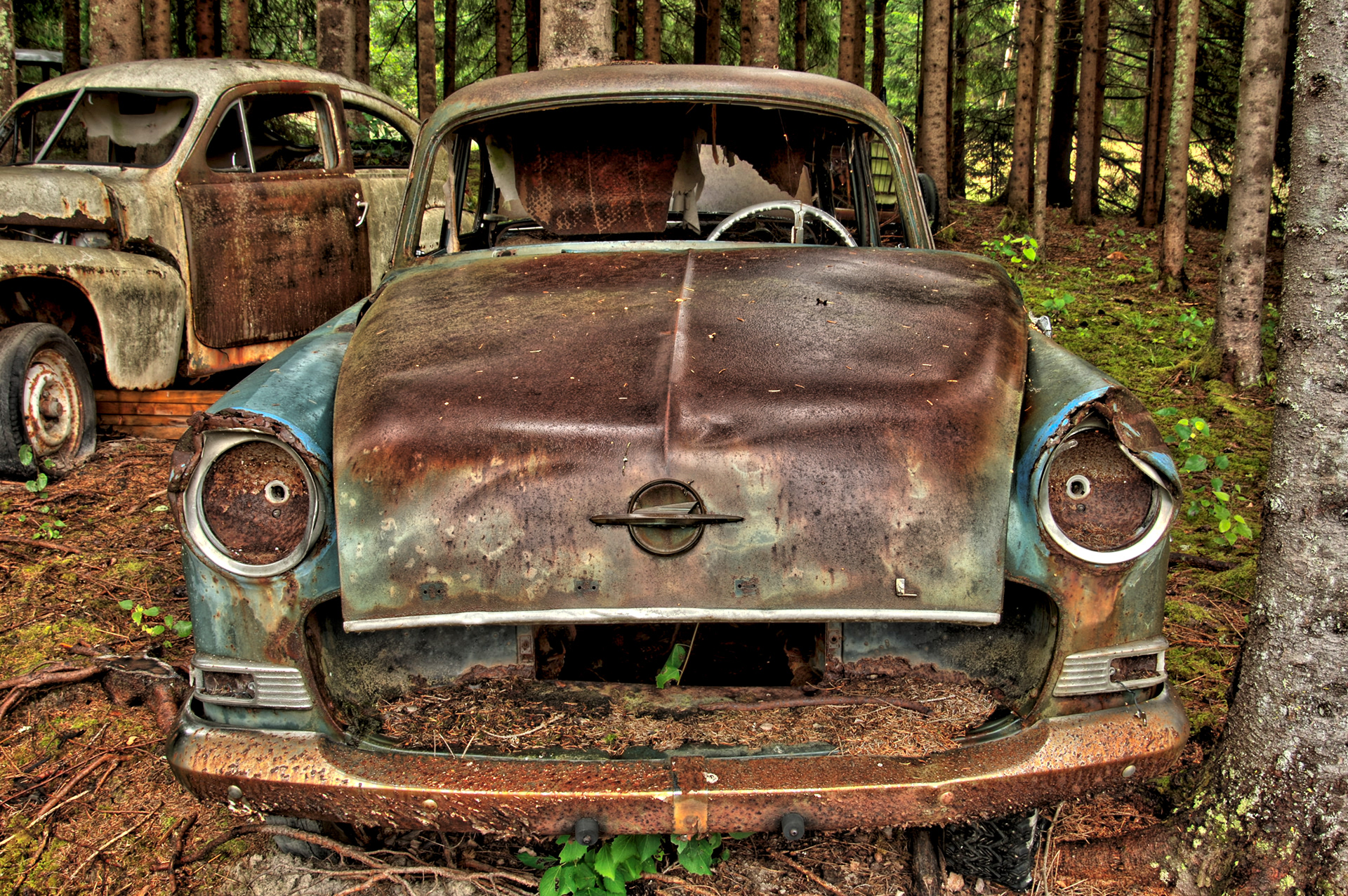 Old rusty decaying Opel and Volvo PV544 abandoned in the woods