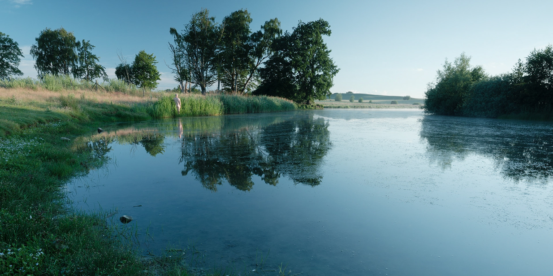 Bird's Pond (2020)