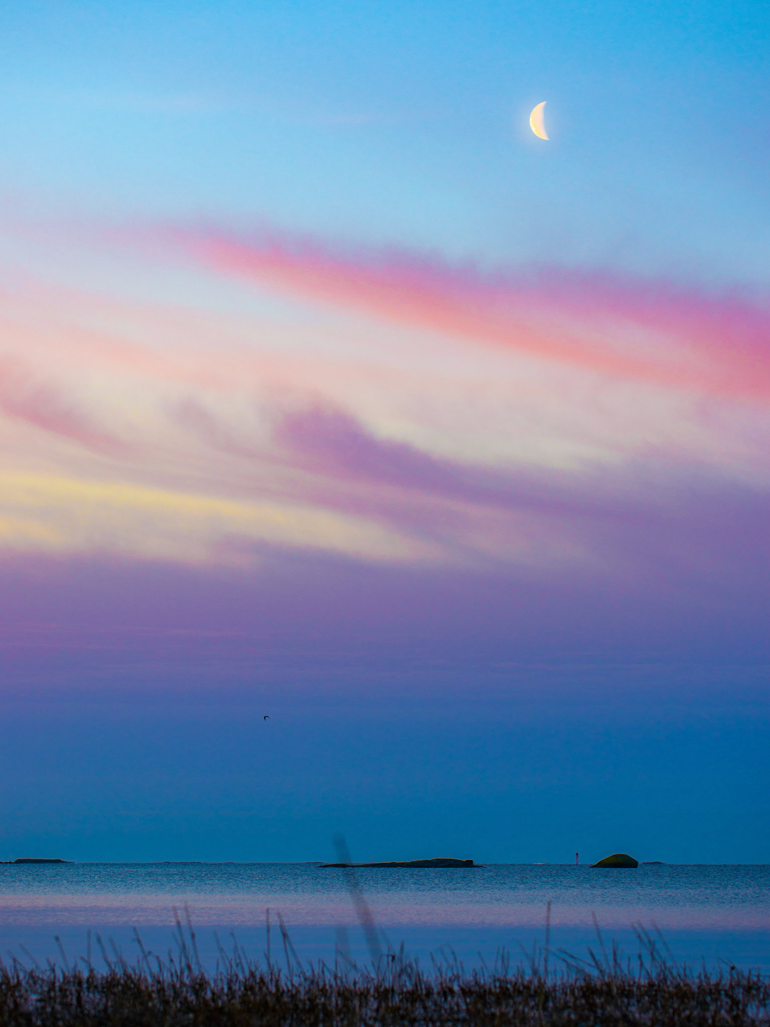 Hanko