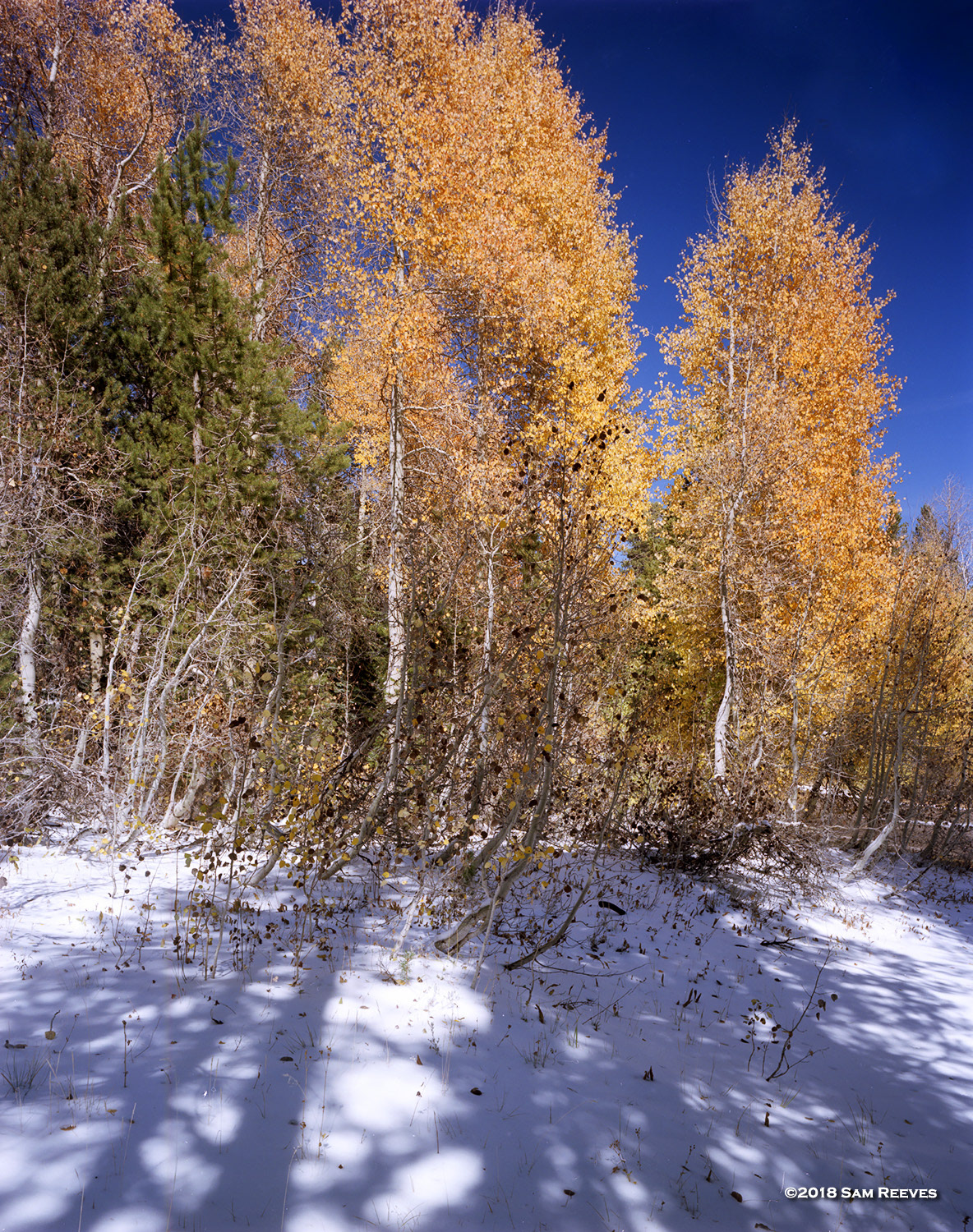 Carson Pass