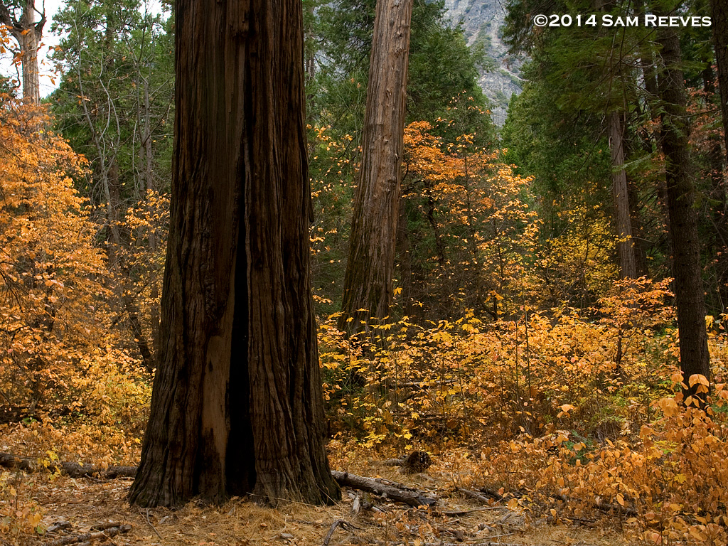 Yosemite