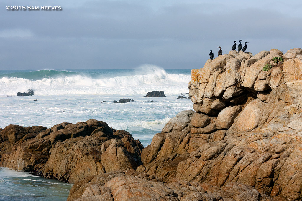 Pacific Grove