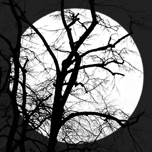 MOND/MOON4_2019_B/W_Inkjet Print_100x100cm
